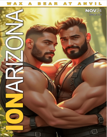 ION Arizona #272